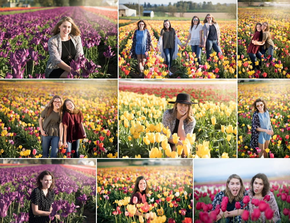 Oregon Tulip Fields