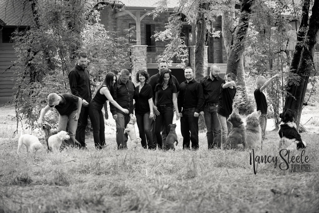 dogs, pdx, portraits